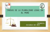 Causas de la pluralidad legal en el perú