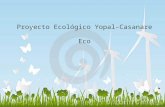 Proyecto ecologico Haybore (Yopal)