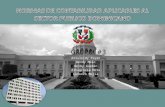 Normas de contabilidad aplicables al sector publico dominicano