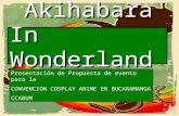 Akihabara In Wonderland!!