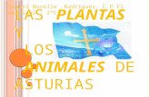 Samuel plantas-animales y paisaje de asturias