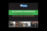 Seguridad Ciudadana. Informe anual sobre Perú 2013. IDL. Instituto de Defensa Legal