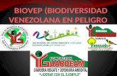 Biovep (biodiversidad venezolana en peligro