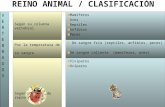 ANIMALES CLASIFICACI“N