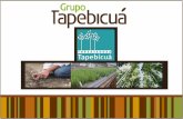 Presentación Tapebicua