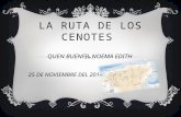 La ruta de los cenotes mayas