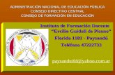 Presentación oferta educativa IFD Paysandú 2011
