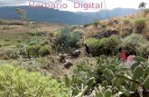 Herbario digital_ Ariel, Jessenia, Claudia, 4ºBD
