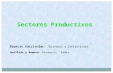 Sectores productivos