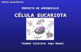3.celula eucariotica (1)