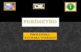 Perimetro pdf - X. Serrano
