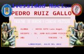 Art. 207   delitos informaticos - UNIVERSIDAD PEDRO RUIZ GALLO