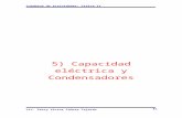 CAPITULO 5 : CONDENSADORES Y DIELECTRICOS