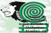 colegio de bachilleres del estado de chihuahua plantel 19