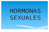 Hormonas sexuales