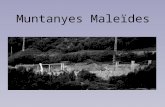 Muntanyes maleïdes