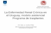 La enfermedad renal crónica en el uruguay