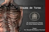 Trauma torax