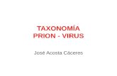 Taxonomía - Prion - Virus