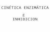 2. cinética enzimática e inhibicion