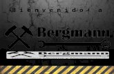 Servicios Bergmann. Desarrollos mineros y mantenimiento