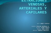 Extraciones venosas-arteriales-y-capilares