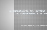 Alan Gerardo Roldán Blancas. La improtancia del oxígeno, pH y temperatura en el crecimiento bacteriano