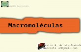 2. macromoleculas