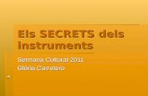 Els secrets dels instruments