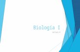 Biología 4