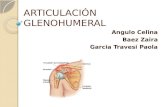 Articulación glenohumeral.