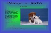 Perro Y Gato Oferta Y Precio