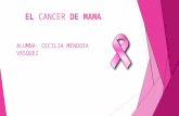 El cancer de mama