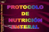 Protocolo nutricion enteral UCI