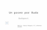 Un paseo por Buda en Budapest