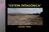 Estepa Patagónica