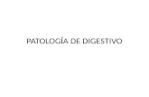Patologias embriologicas de digestivo