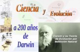 Darwin suteoria