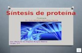 Sintesis de proteinas...FdeM(UAS)