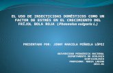 Proyecto frijol insecticidas final