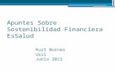 Apuntes Sobre Sostenibilidad Financiera EsSalud