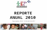 Presentacion final annual report 2010