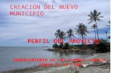 Perfil proyecto nuevo_municipio[1].pptx_las flores