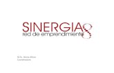 Red Sinergia - ULACIT