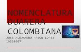 Nomenclatura Aduanera colombiana.