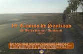 19 Camino de Santiago (El Burgo Ranero - Arcahueja) 29,100 km..