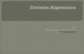 División algebraica segundo trabajo de info hernan