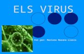 Els virus 4rt