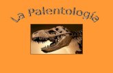 La paleontología, la biología y el creacionismo.