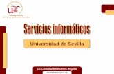 Guía ~ Servicios informáticos - US